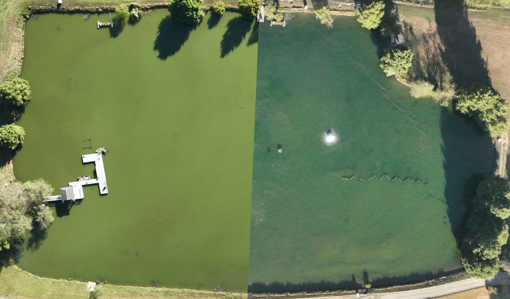 Aerial drone view showing the Slab Lab pond before and after MetaFloc treatment — murky green water on the left, dramatically clearer water on the right